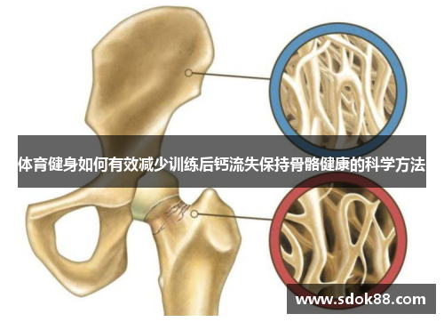 体育健身如何有效减少训练后钙流失保持骨骼健康的科学方法