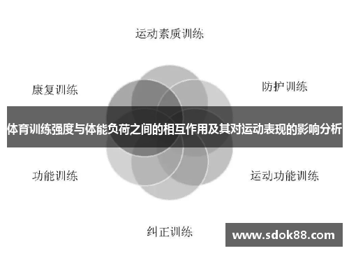 体育训练强度与体能负荷之间的相互作用及其对运动表现的影响分析